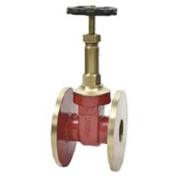 Gm Union Bonnet Globe Valve Rising Stem SS Working Part Flange End (Sant)